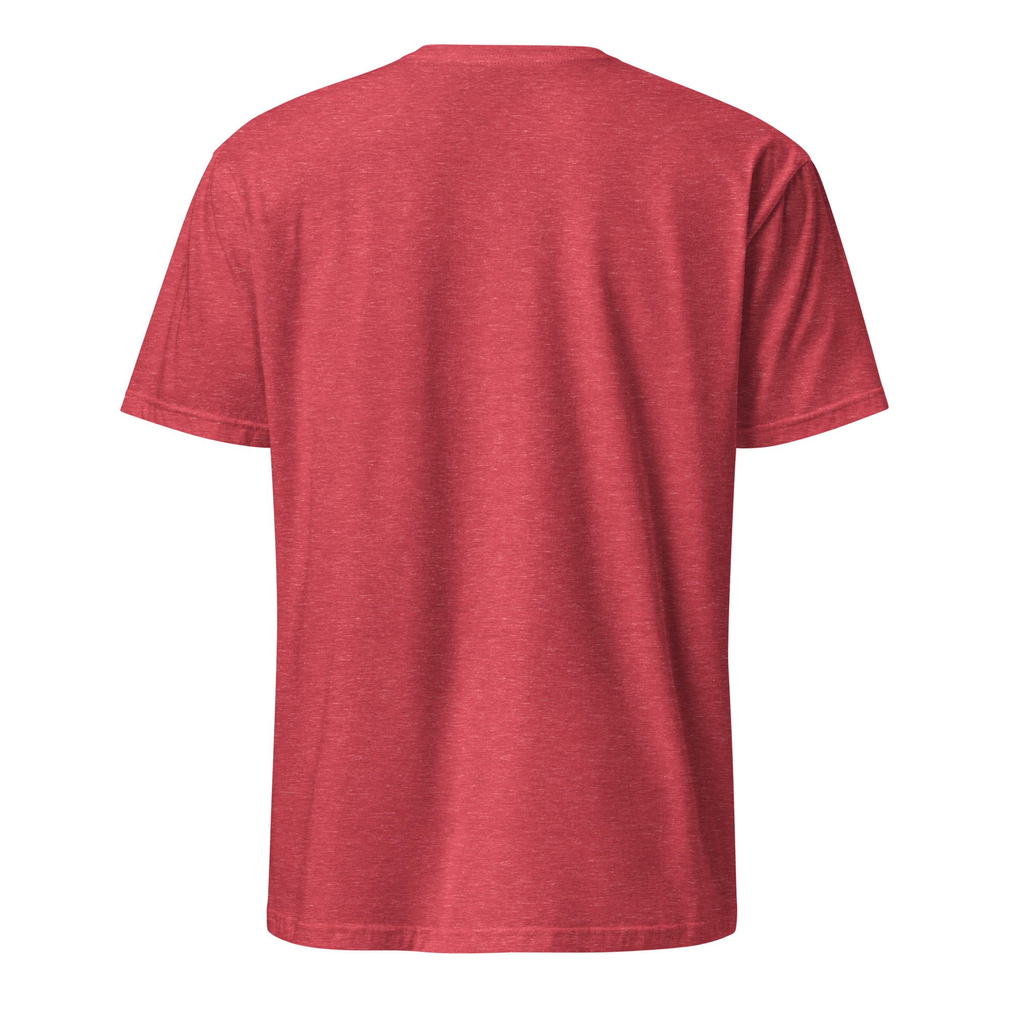 Northern Rockies Media Company Classic Logo Unisex T-Shirt - Image 24