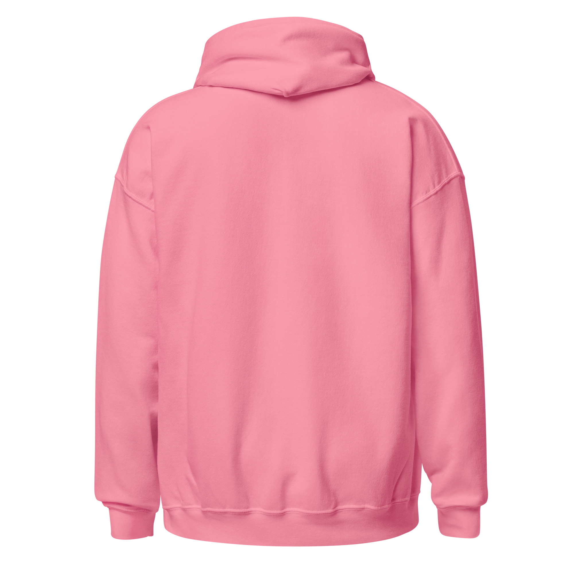 Northern Rockies Musical Company Classic Logo Unisex Hoodie - Image 11