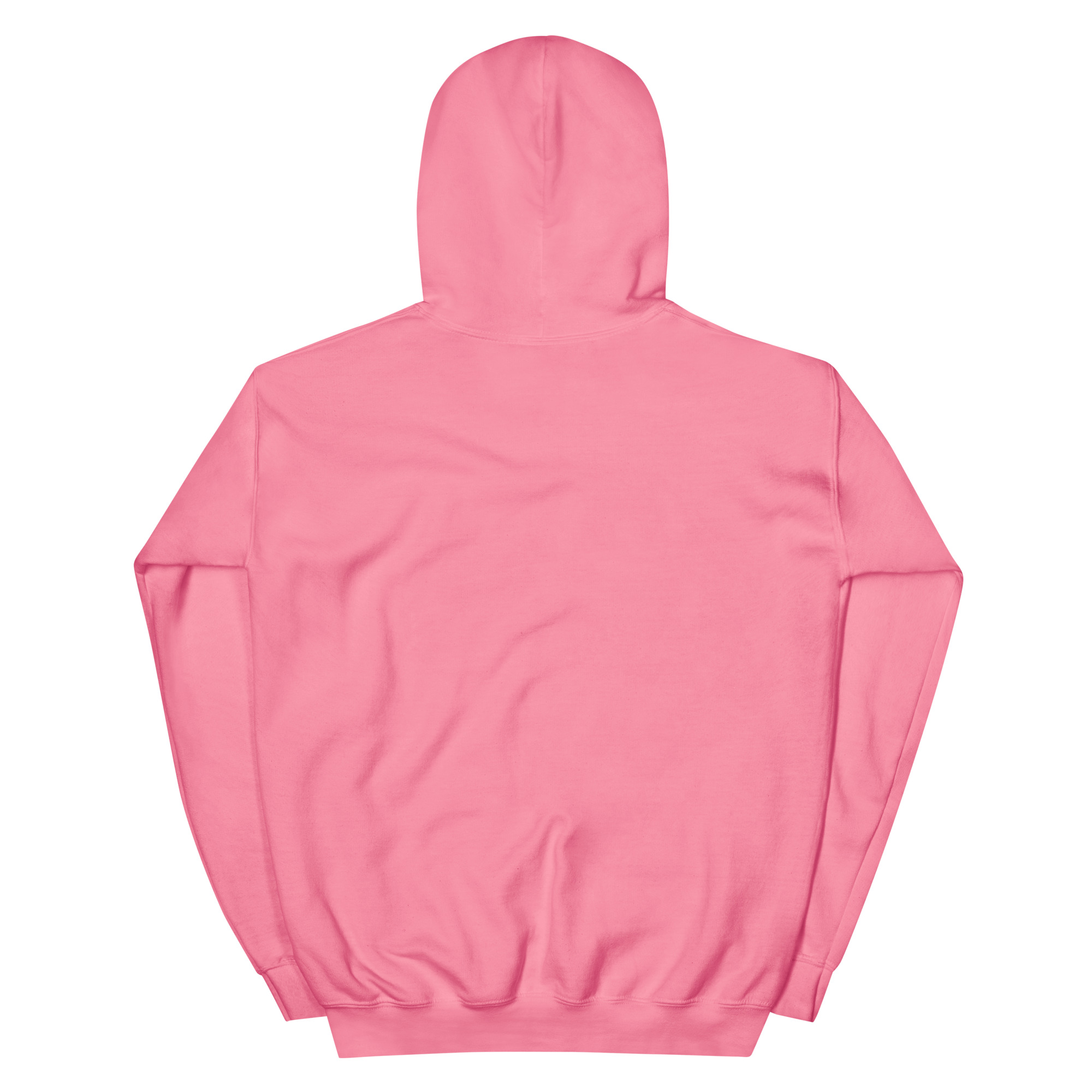 Northern Rockies Musical Company Classic Logo Unisex Hoodie - Image 54